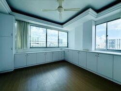Rajah Tower (D12), Apartment #573768411